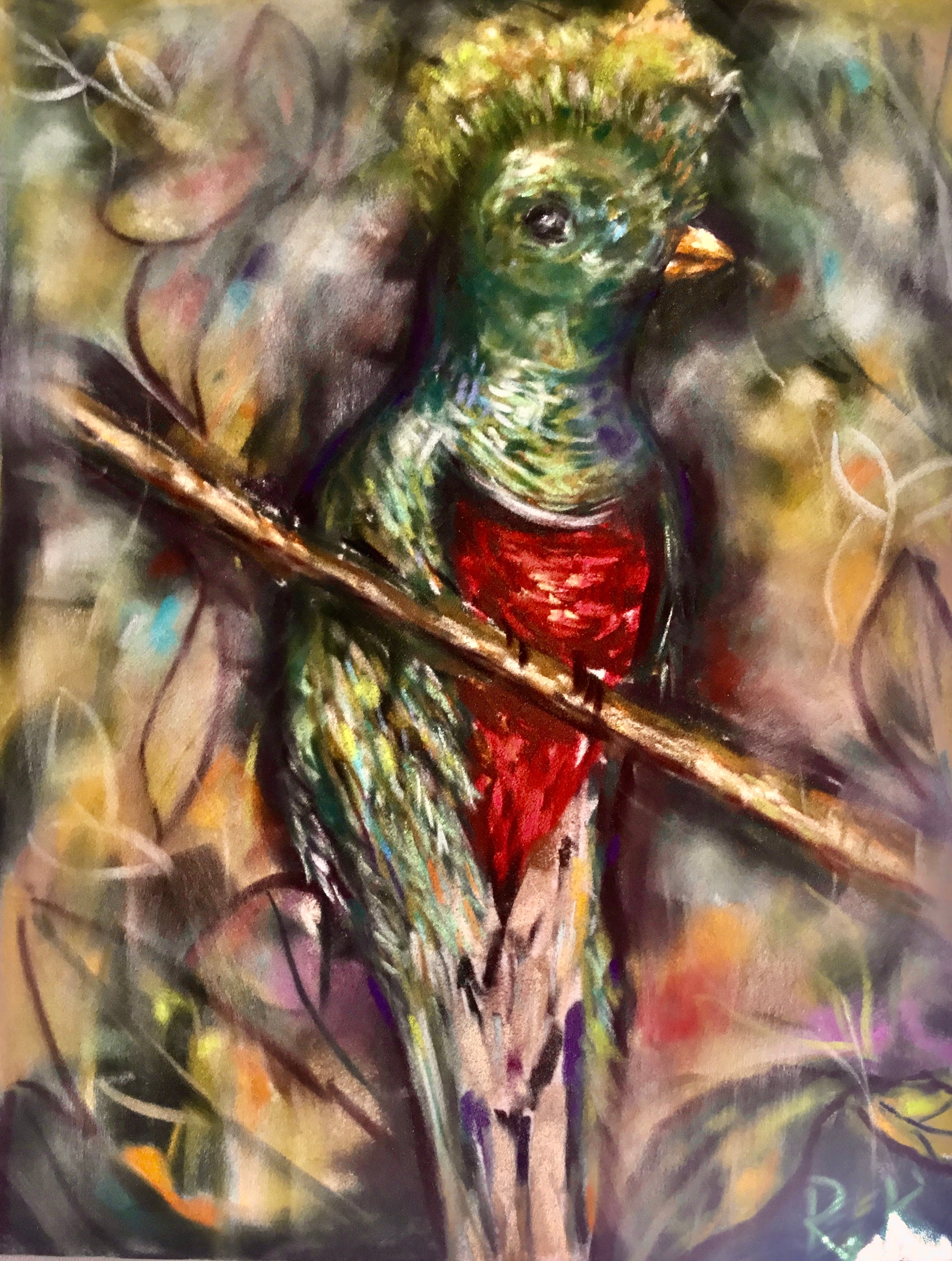 Quetzal bird