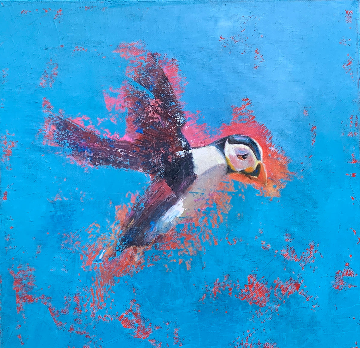 Flight of the Puffin