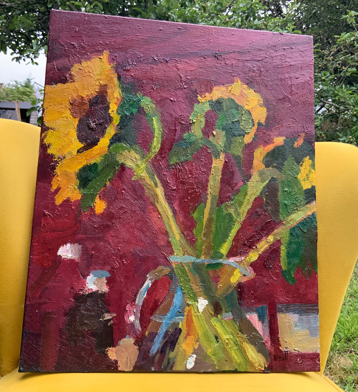 Sunflower in glass jug against rose madder wall.