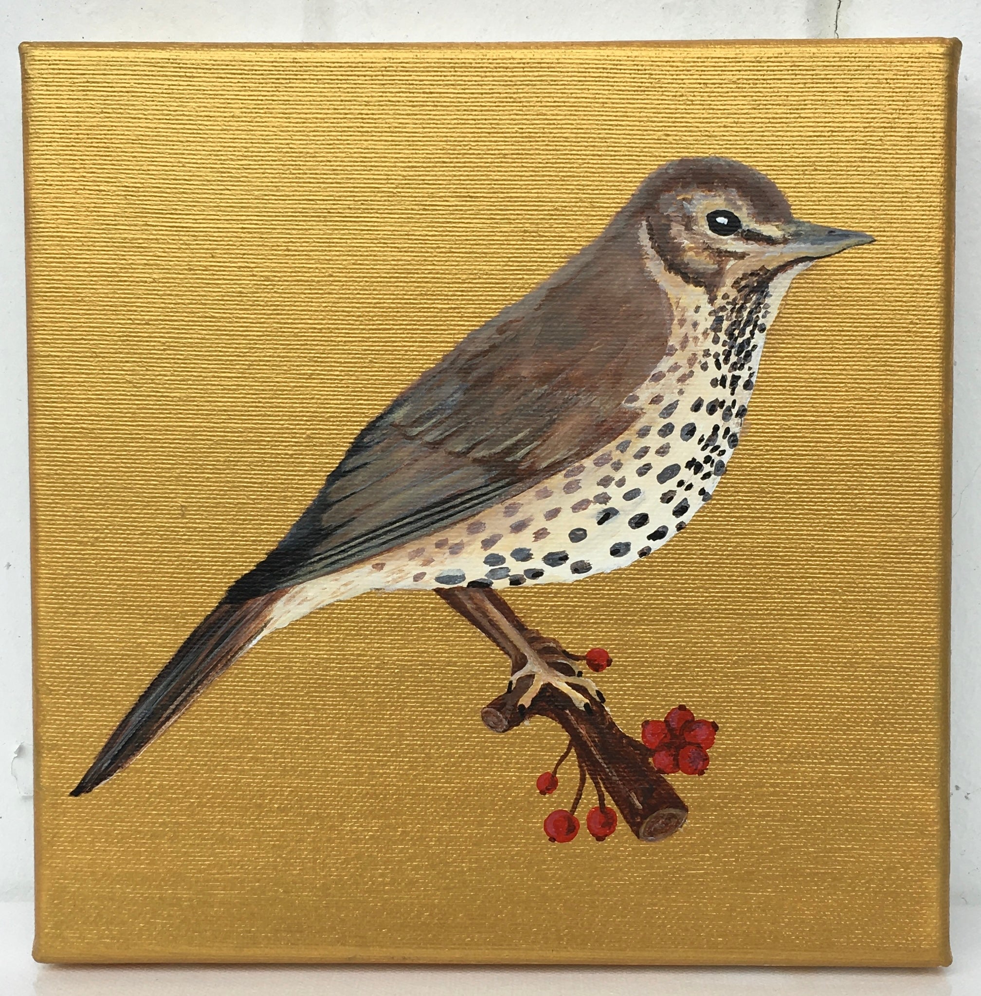 Garden Birds on Gold- Spotted Thrush