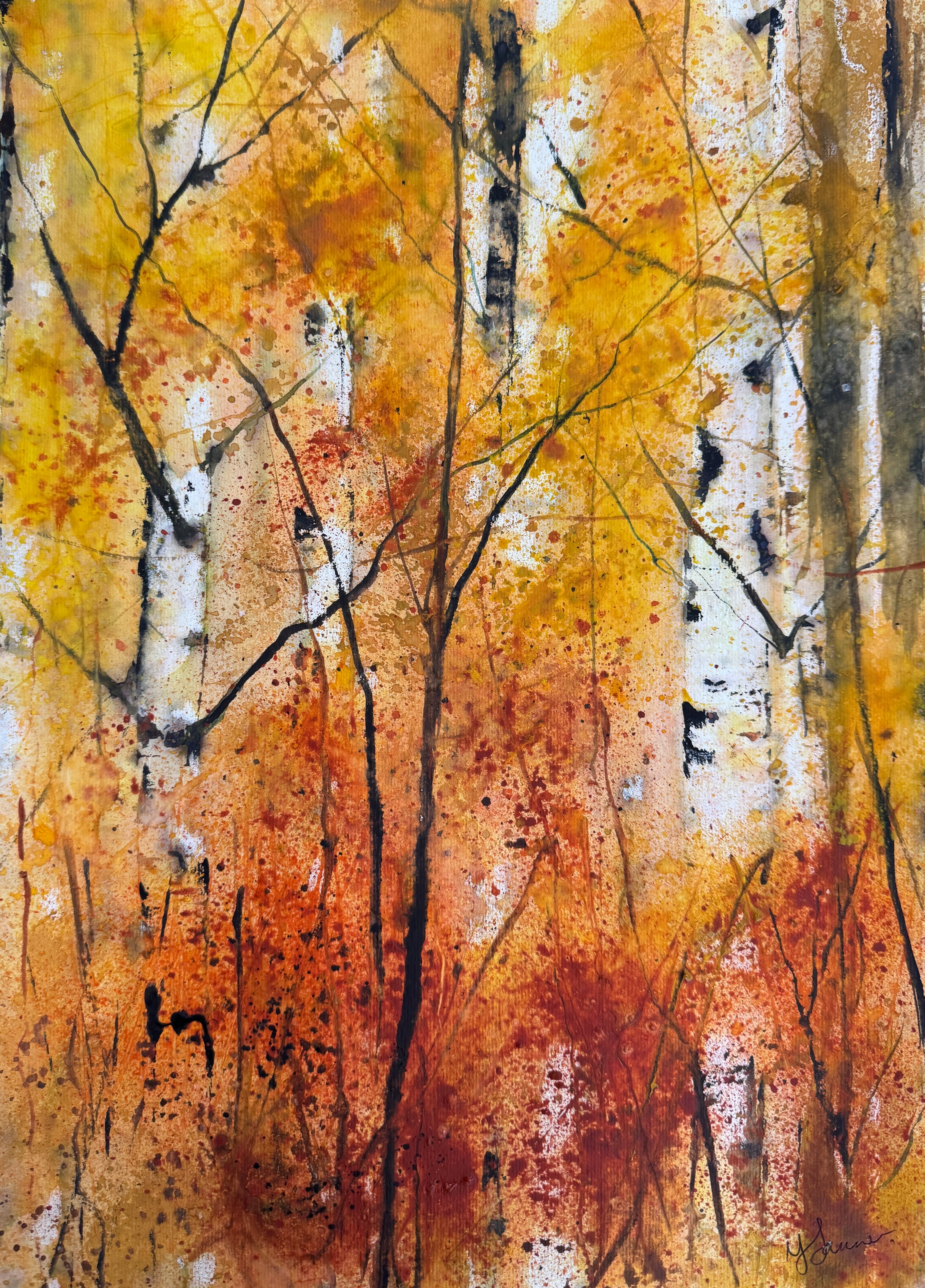Silver Birch Trunks 1