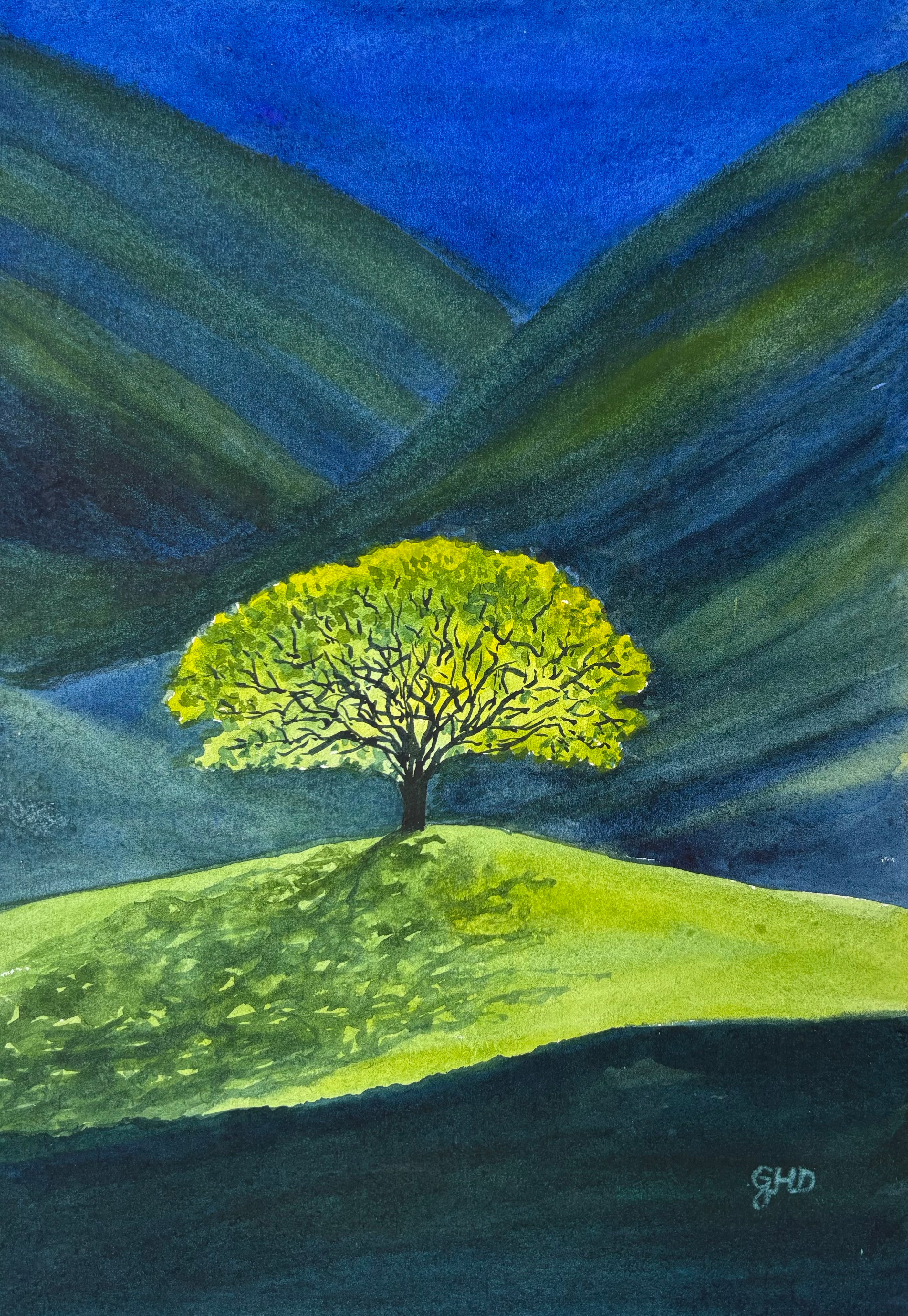 TREE IN THE SPOTLIGHT