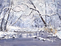 Winter’s Gentle Lace