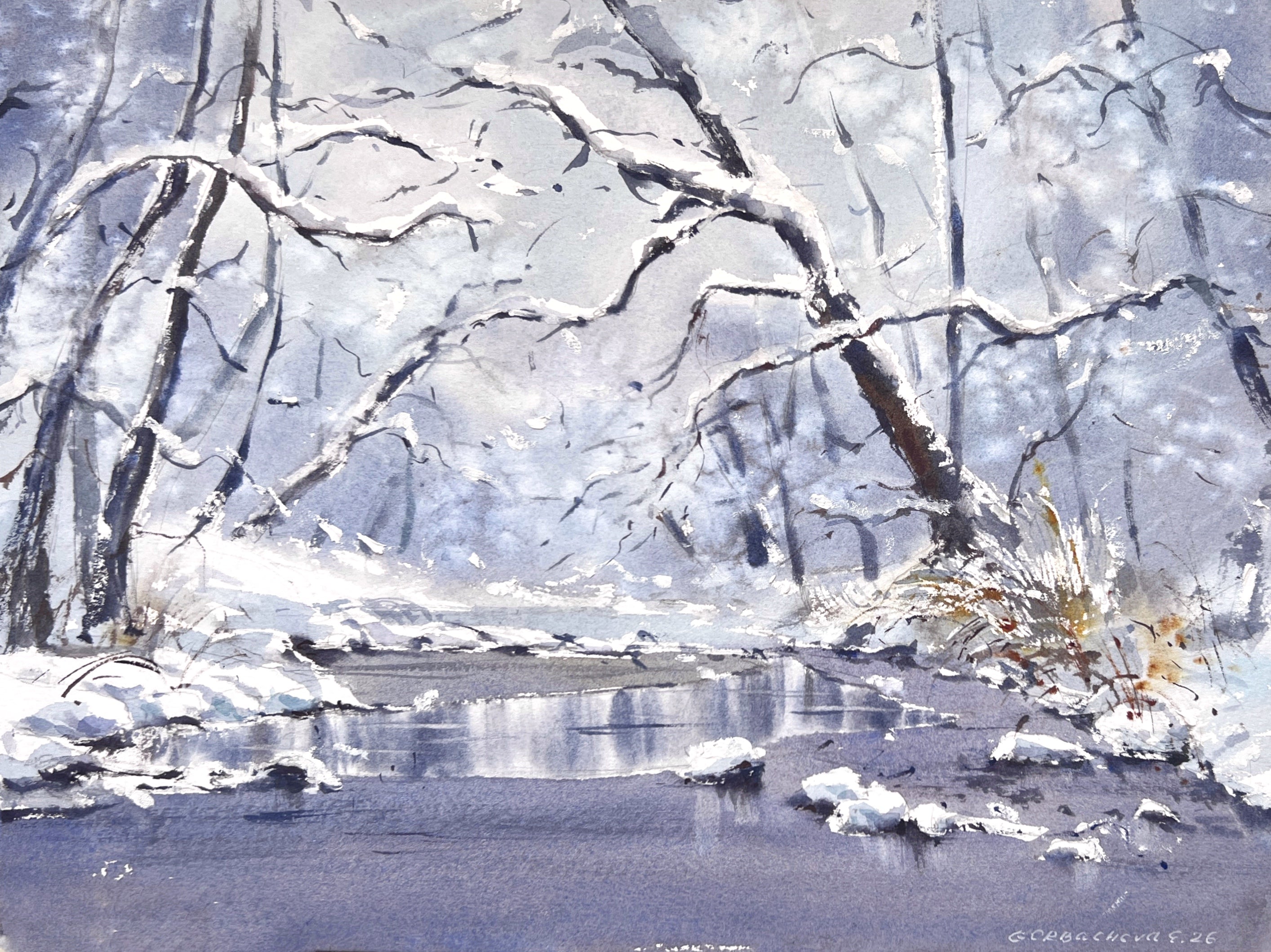 Winter’s Gentle Lace