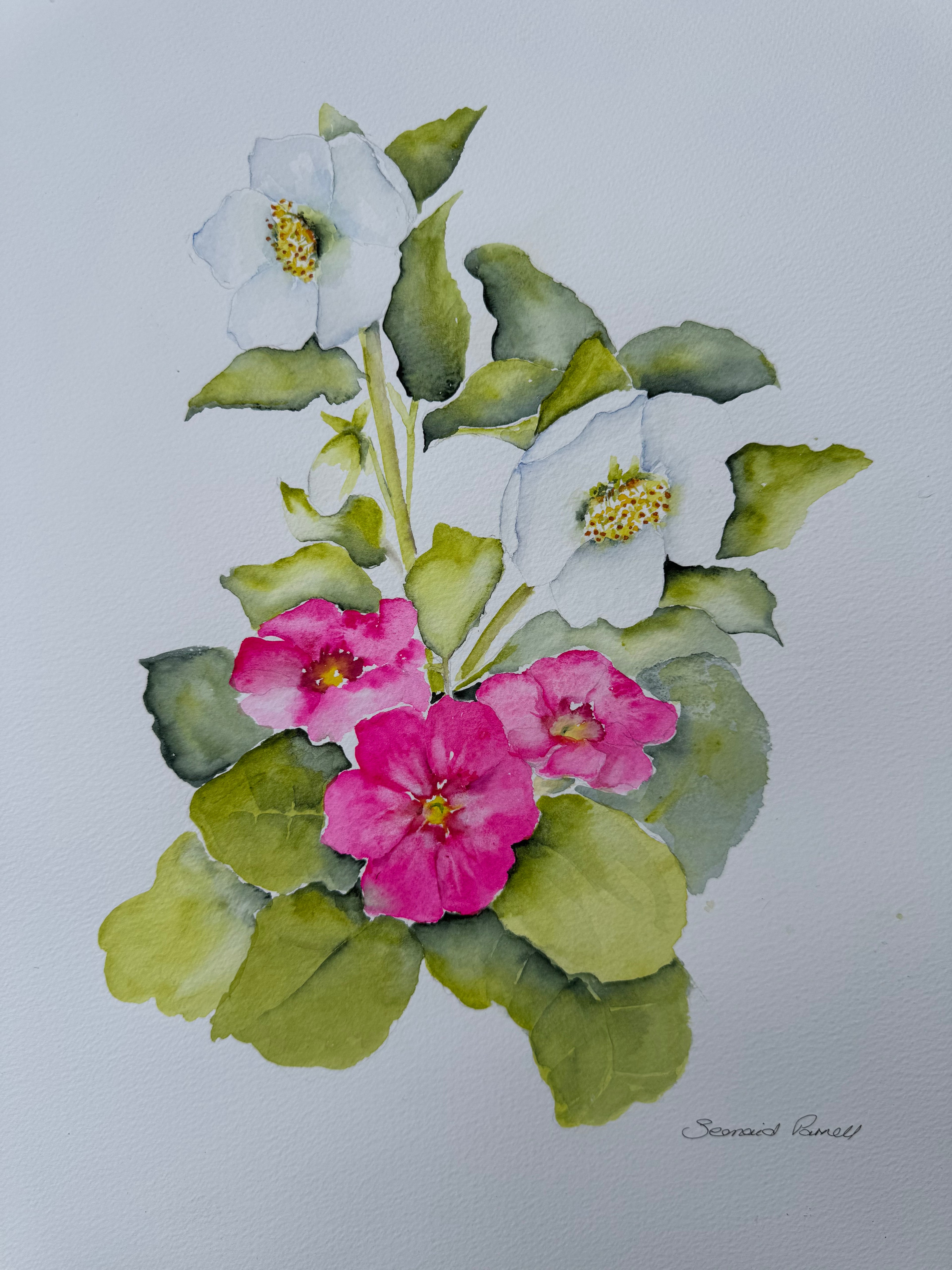 Spring Joy