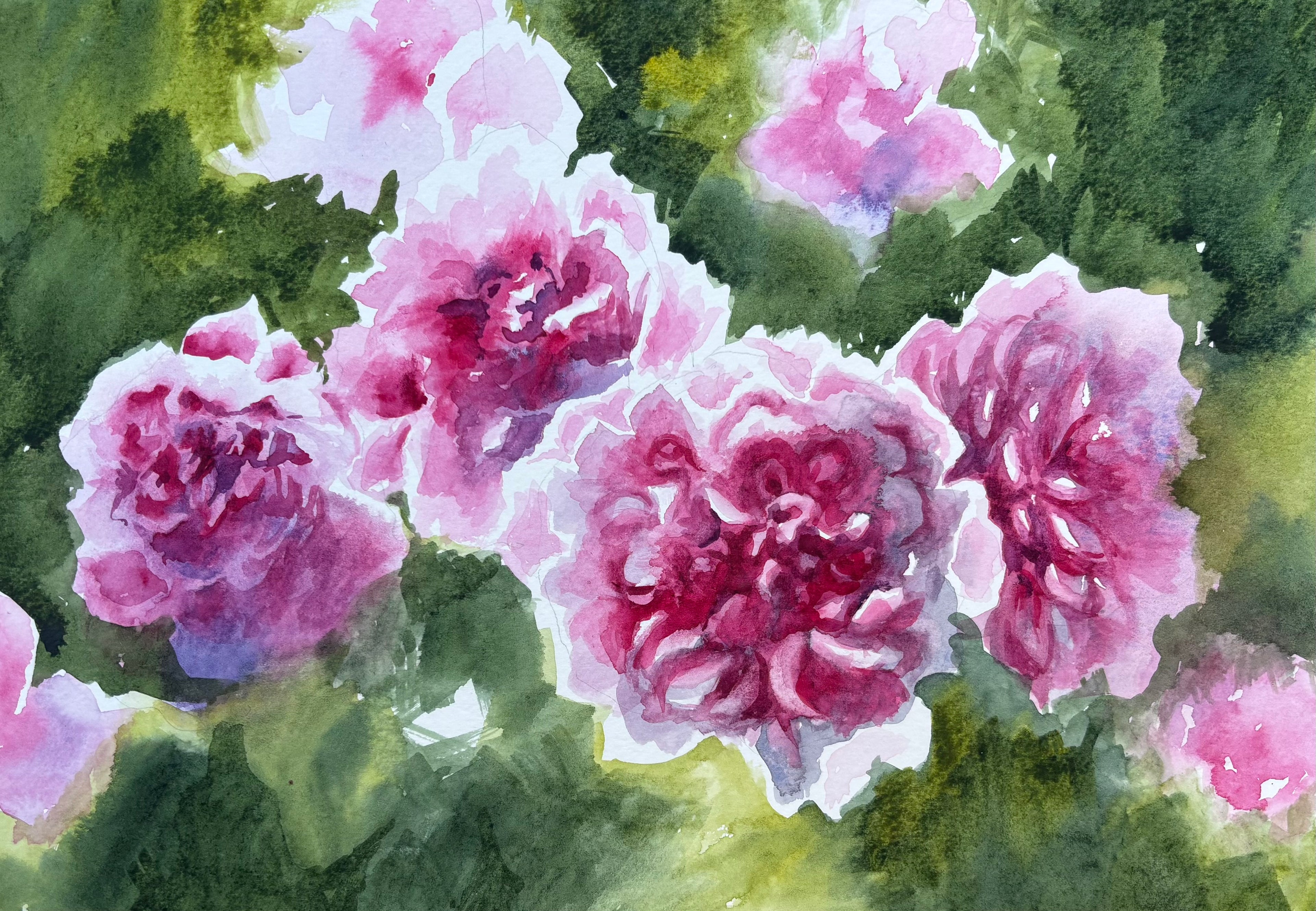PINK ROSES