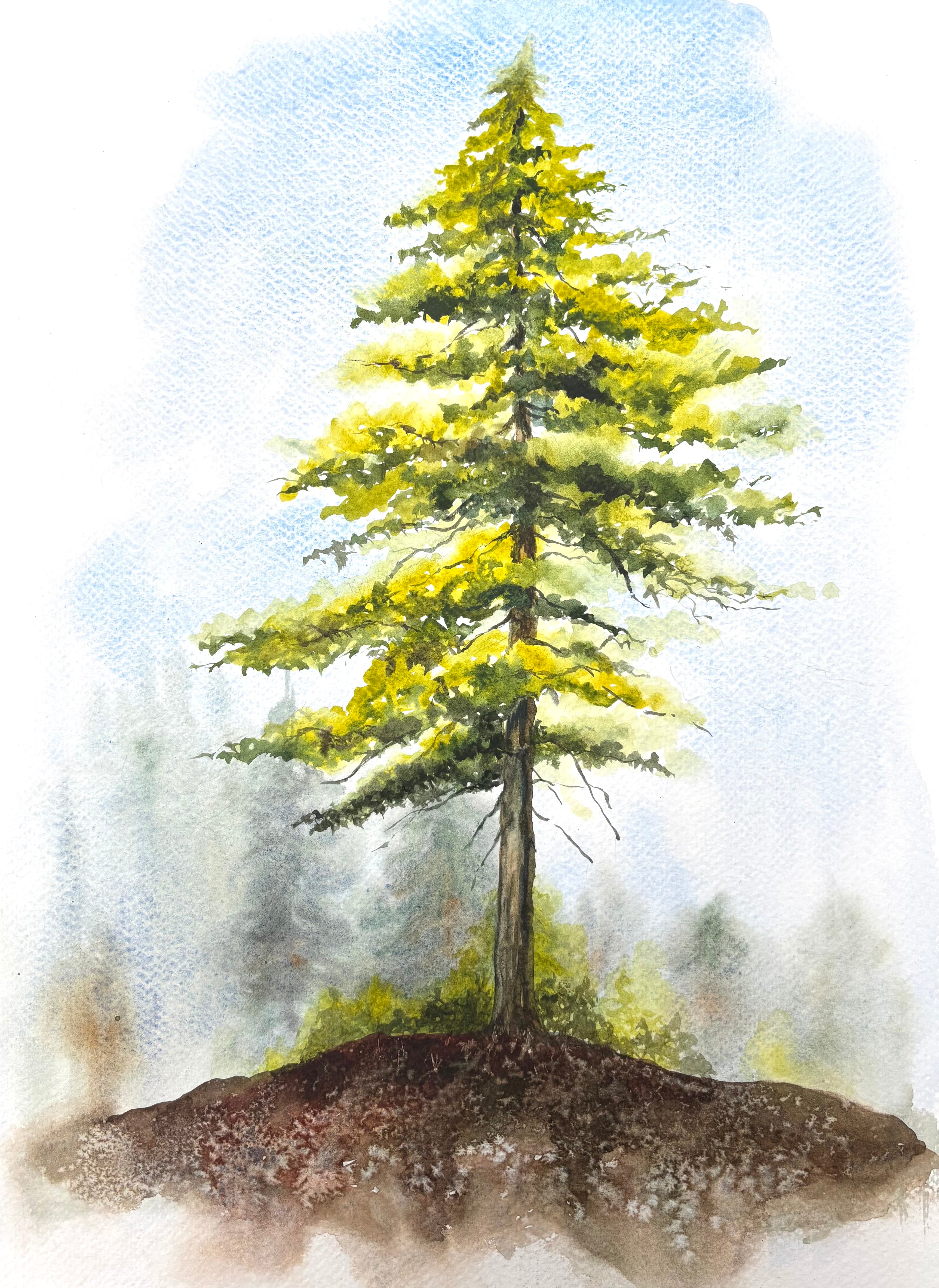 A LONE PINE