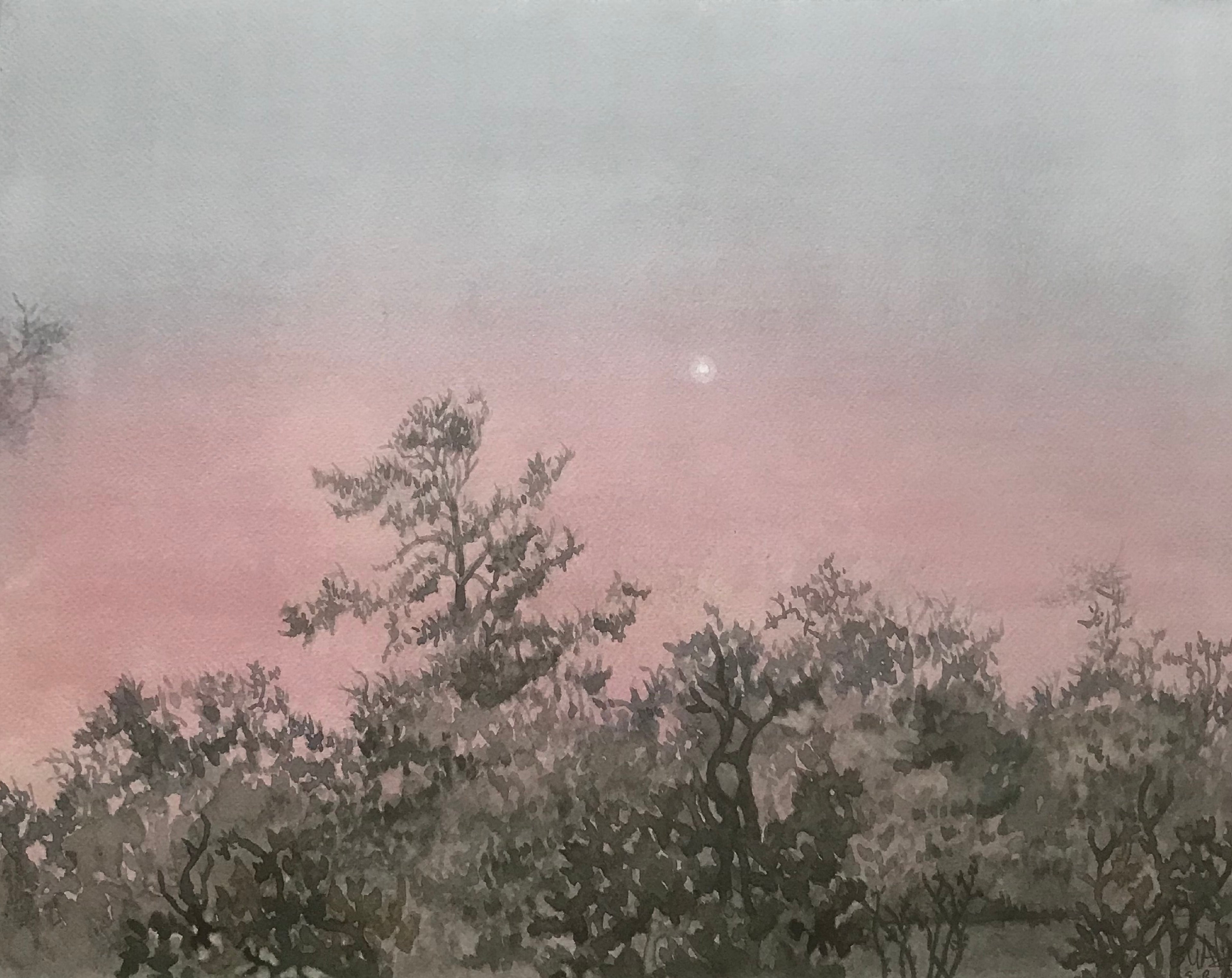 MORNING STAR