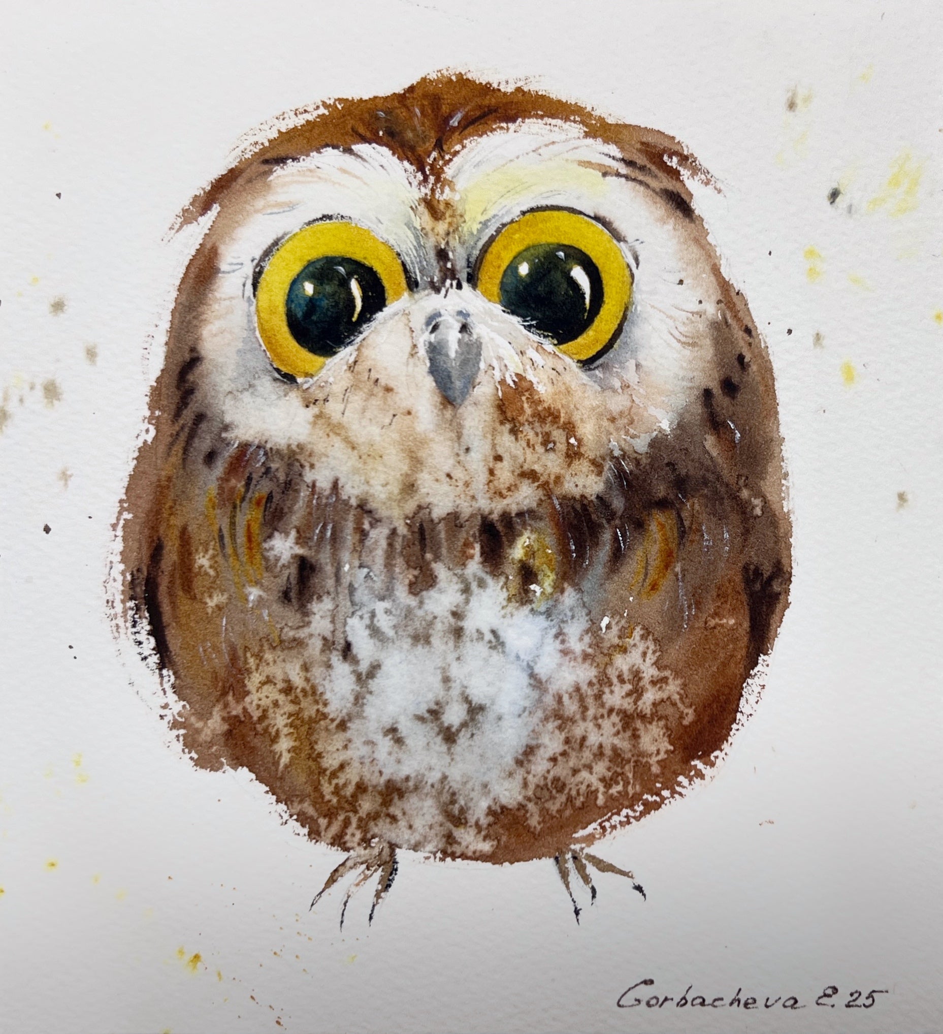 Charming owlet