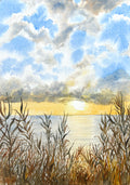 Sunset over the sea