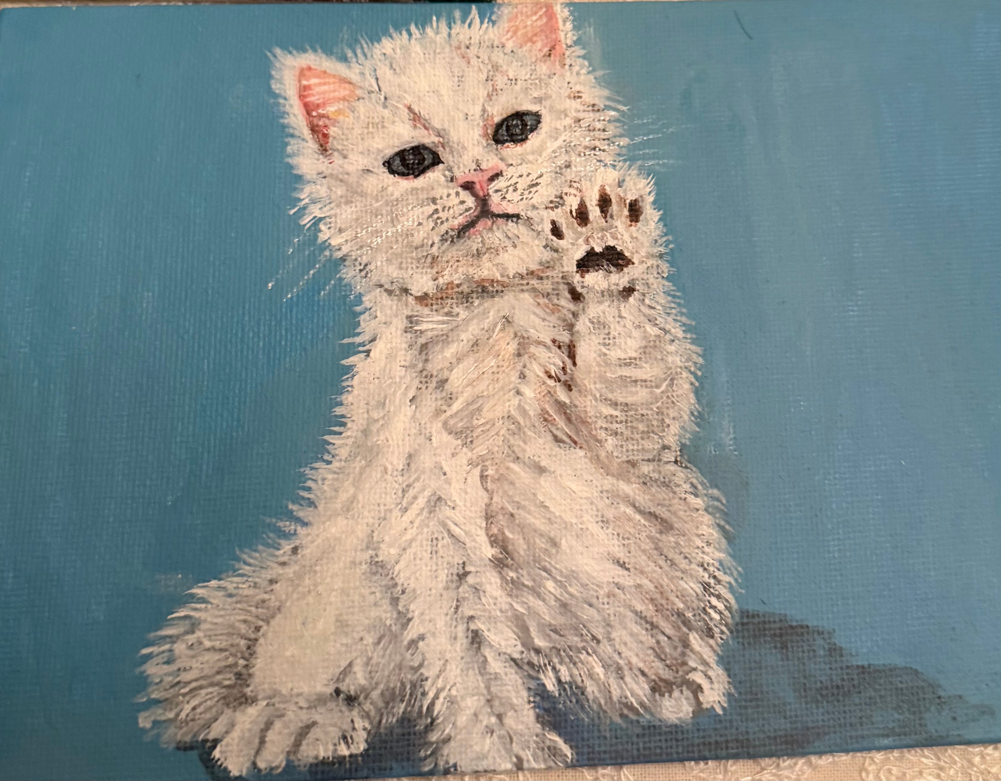 Persian cat