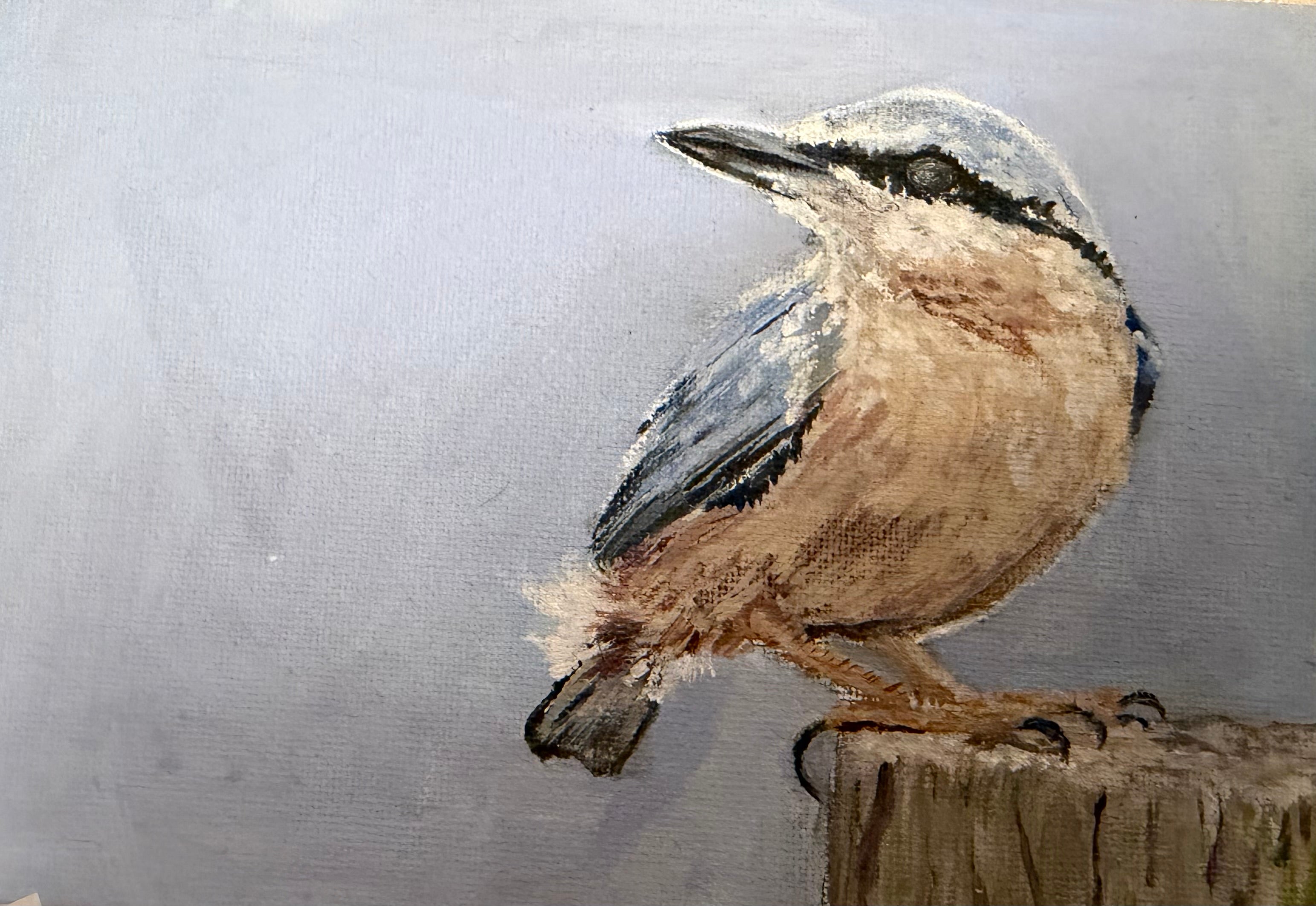 Nuthatch