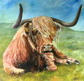 Hieland Coo