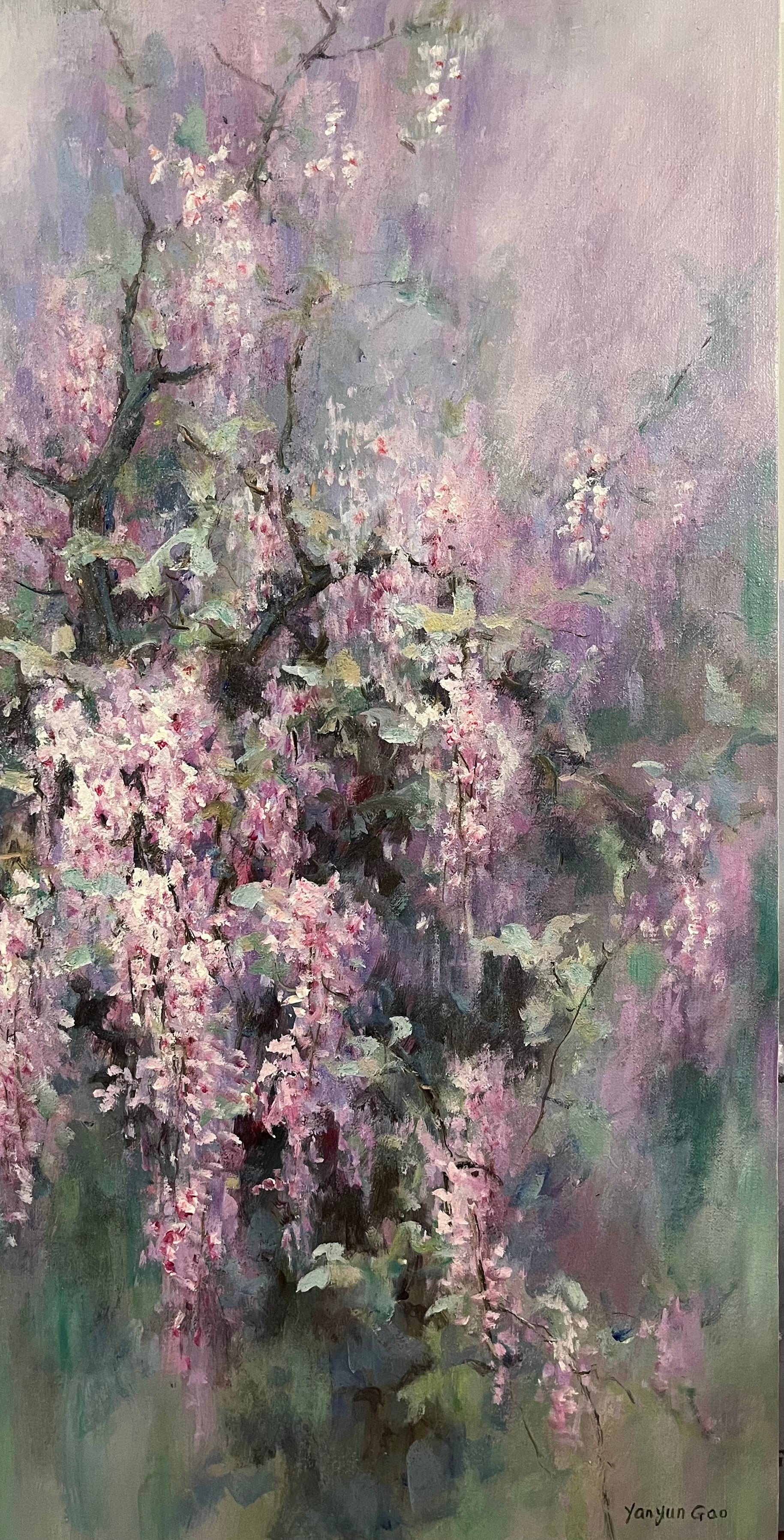 Dream of Wisteria