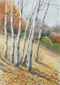AUTUMN SILVER BIRCHES