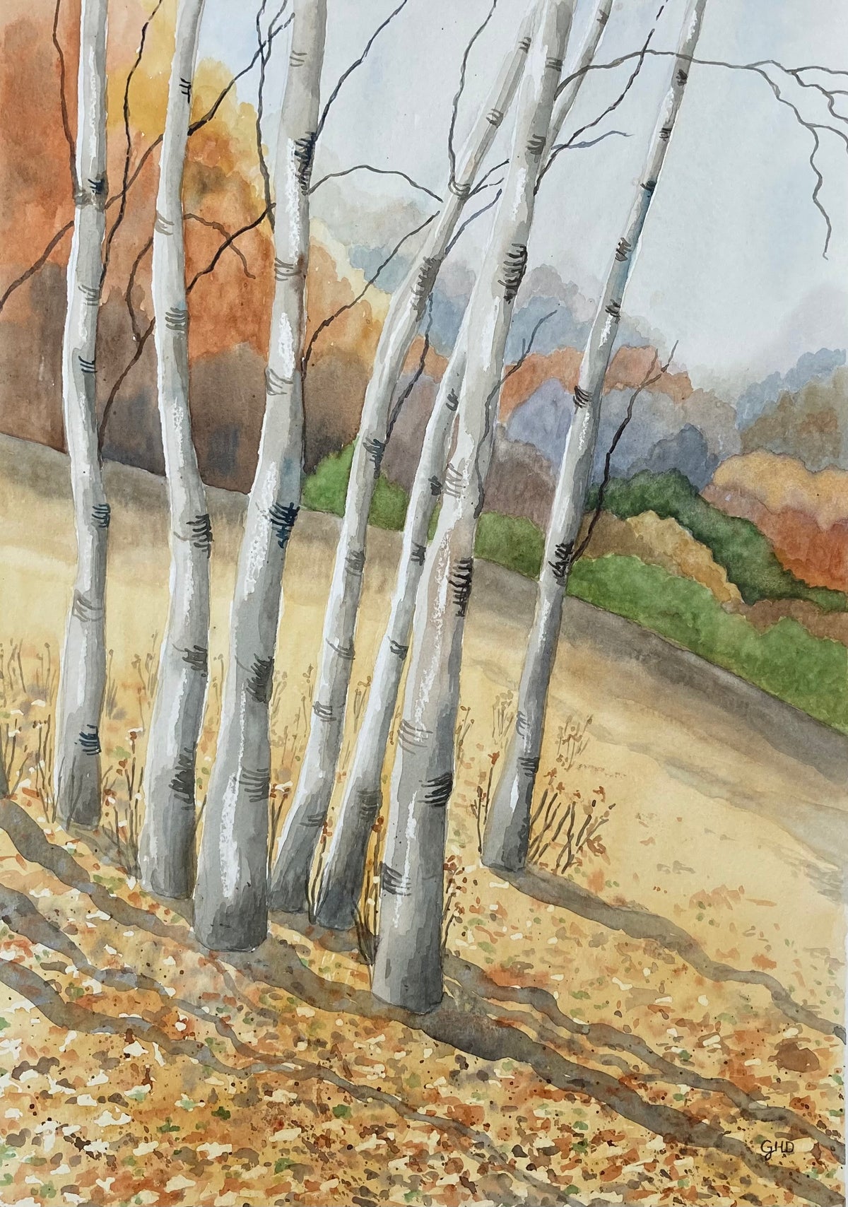 AUTUMN SILVER BIRCHES