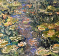 Waterlillies pond