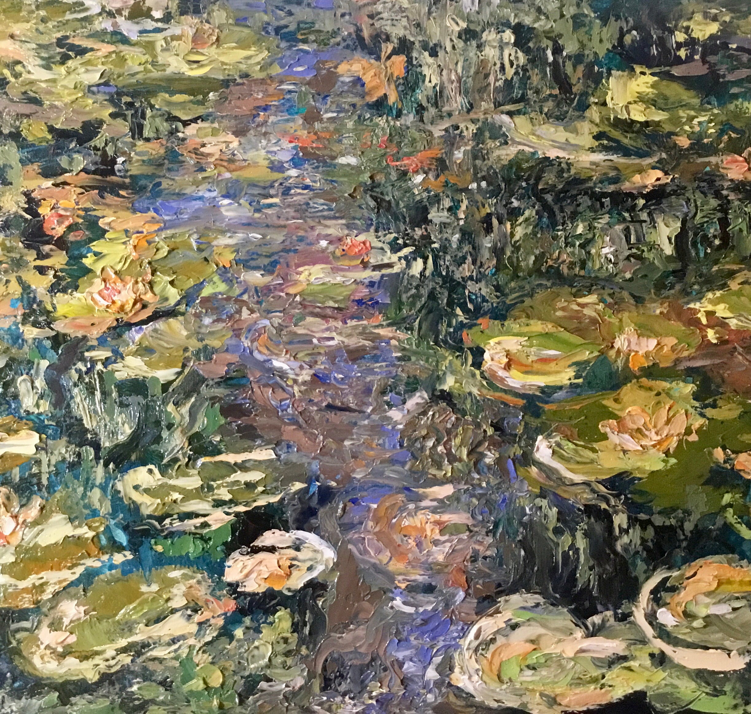 Waterlillies pond