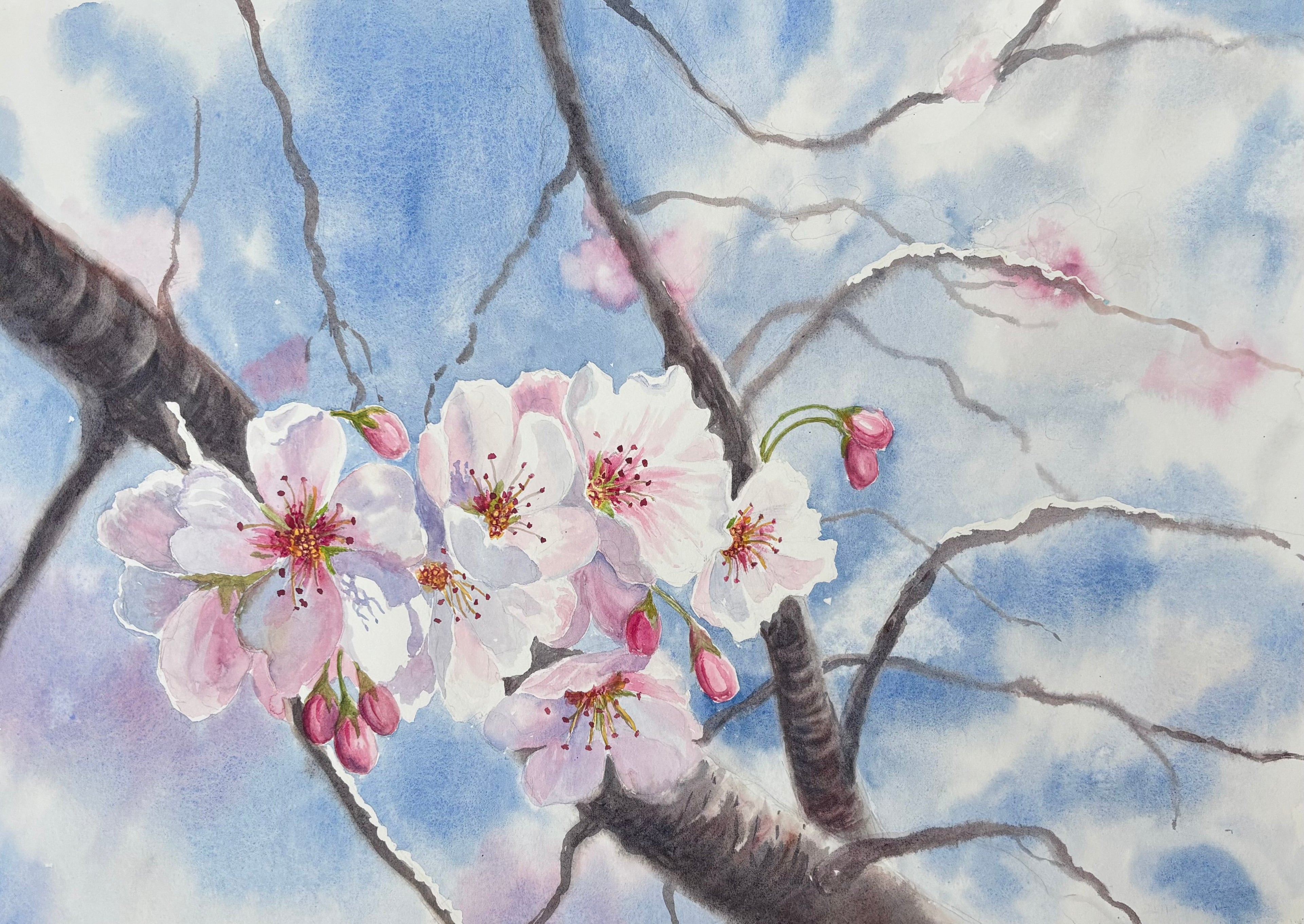 BLOSSOM IN THE SUN