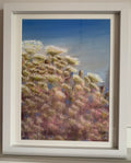 Cow Parsley