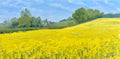 Rapeseed