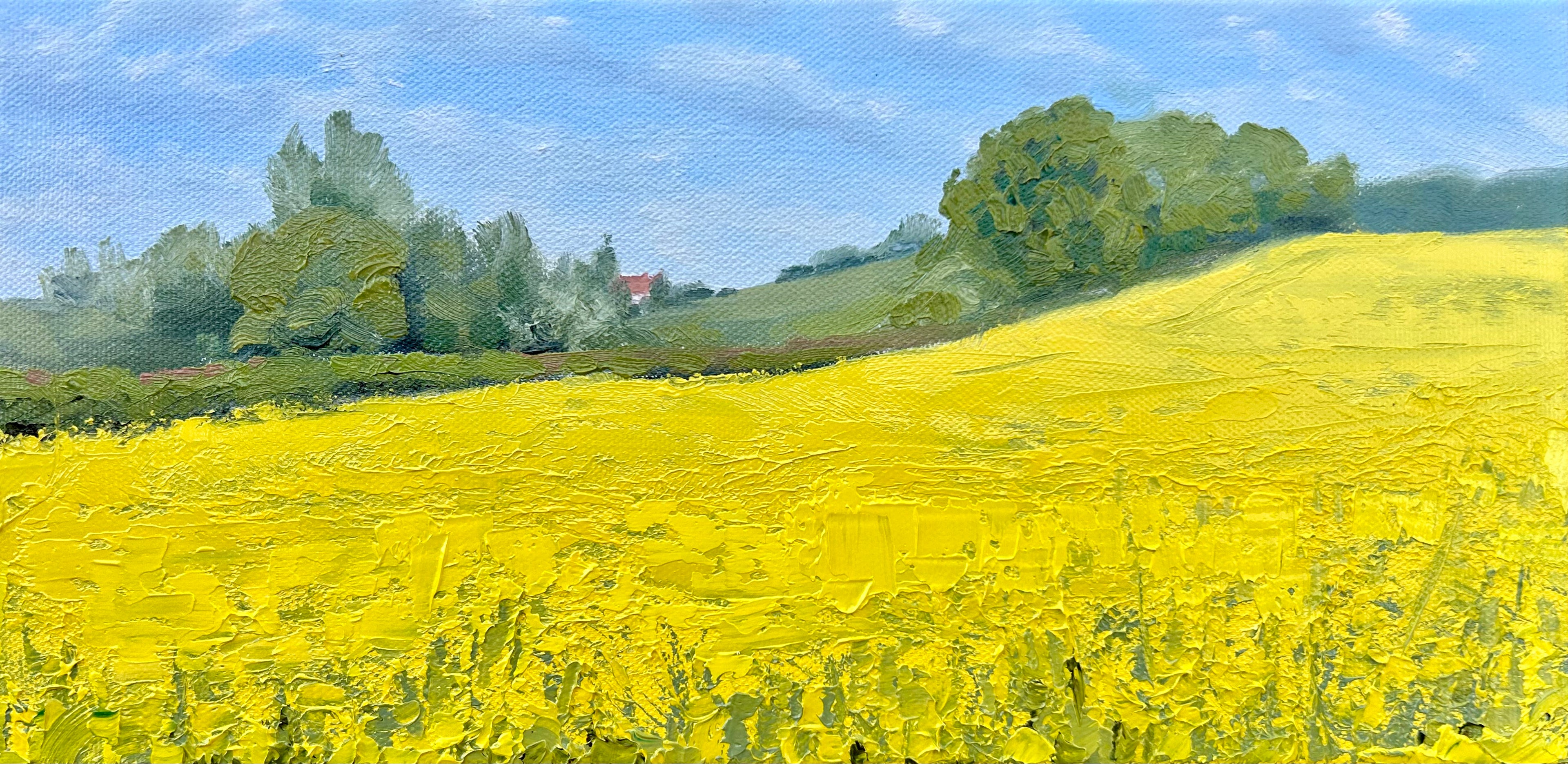 Rapeseed