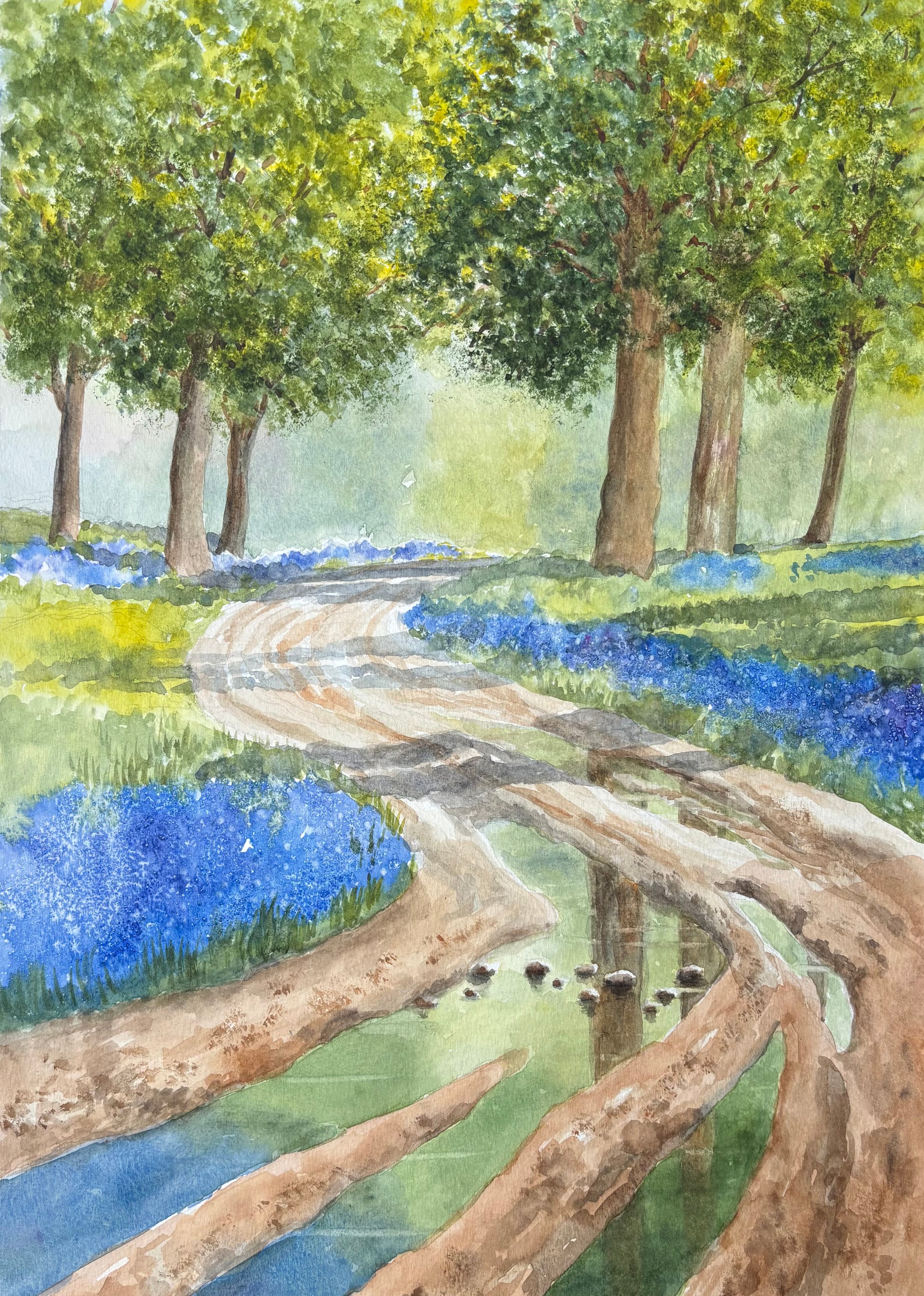 Bluebell Woods
