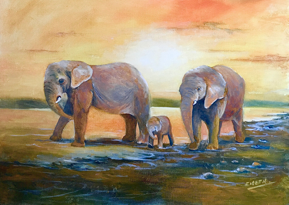 A Family Outing
