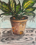 Fresh Dieffenbachia Plant