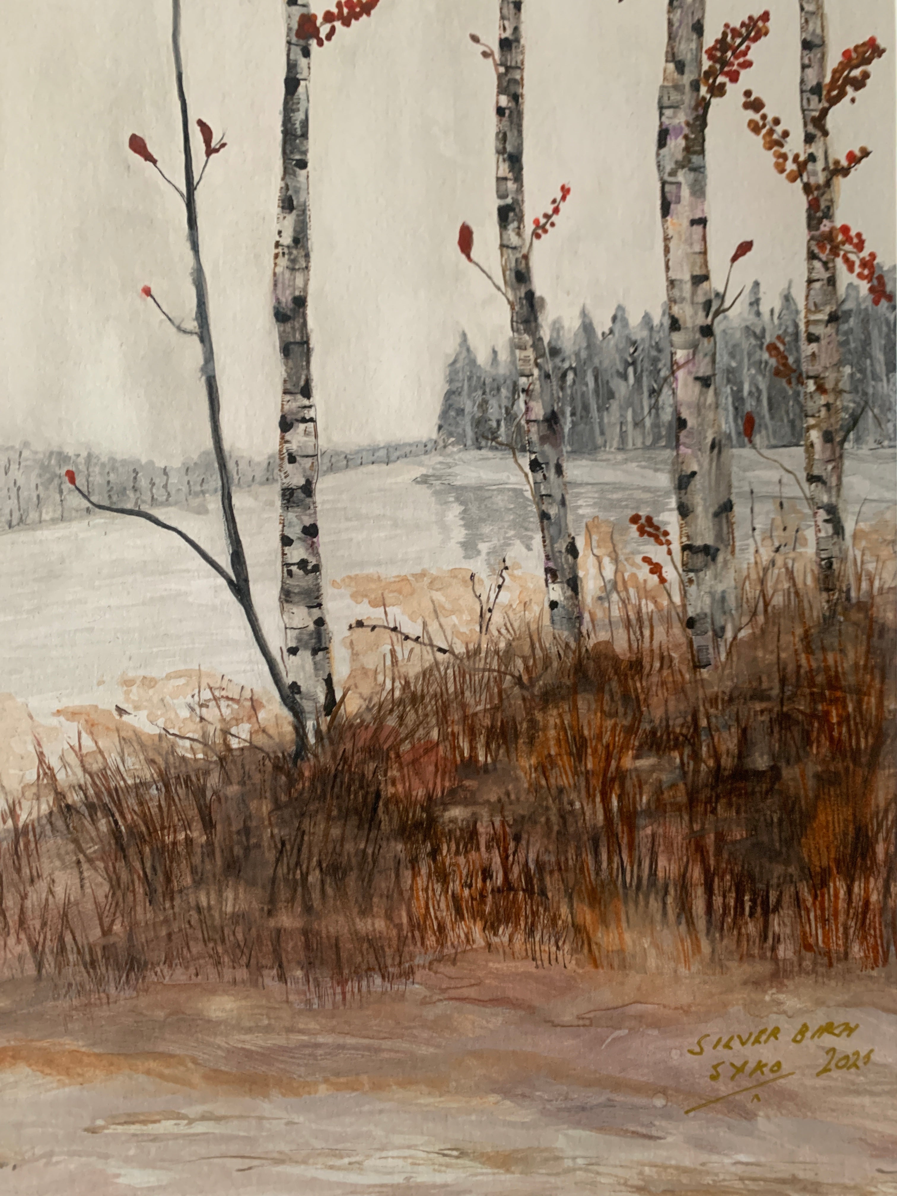 Silver Birch