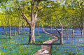 BLUEBELL WOODS