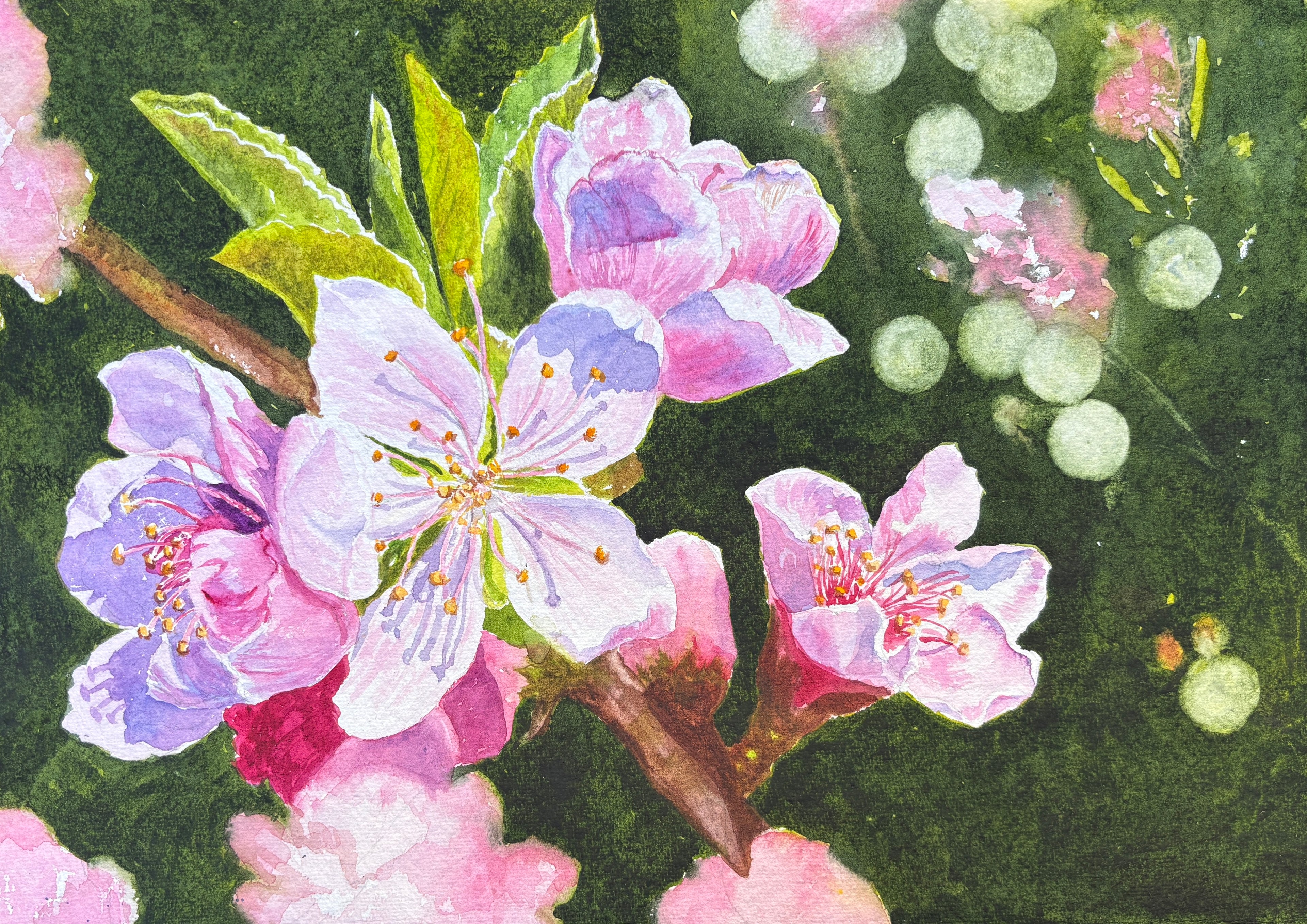 PINK BLOSSOM