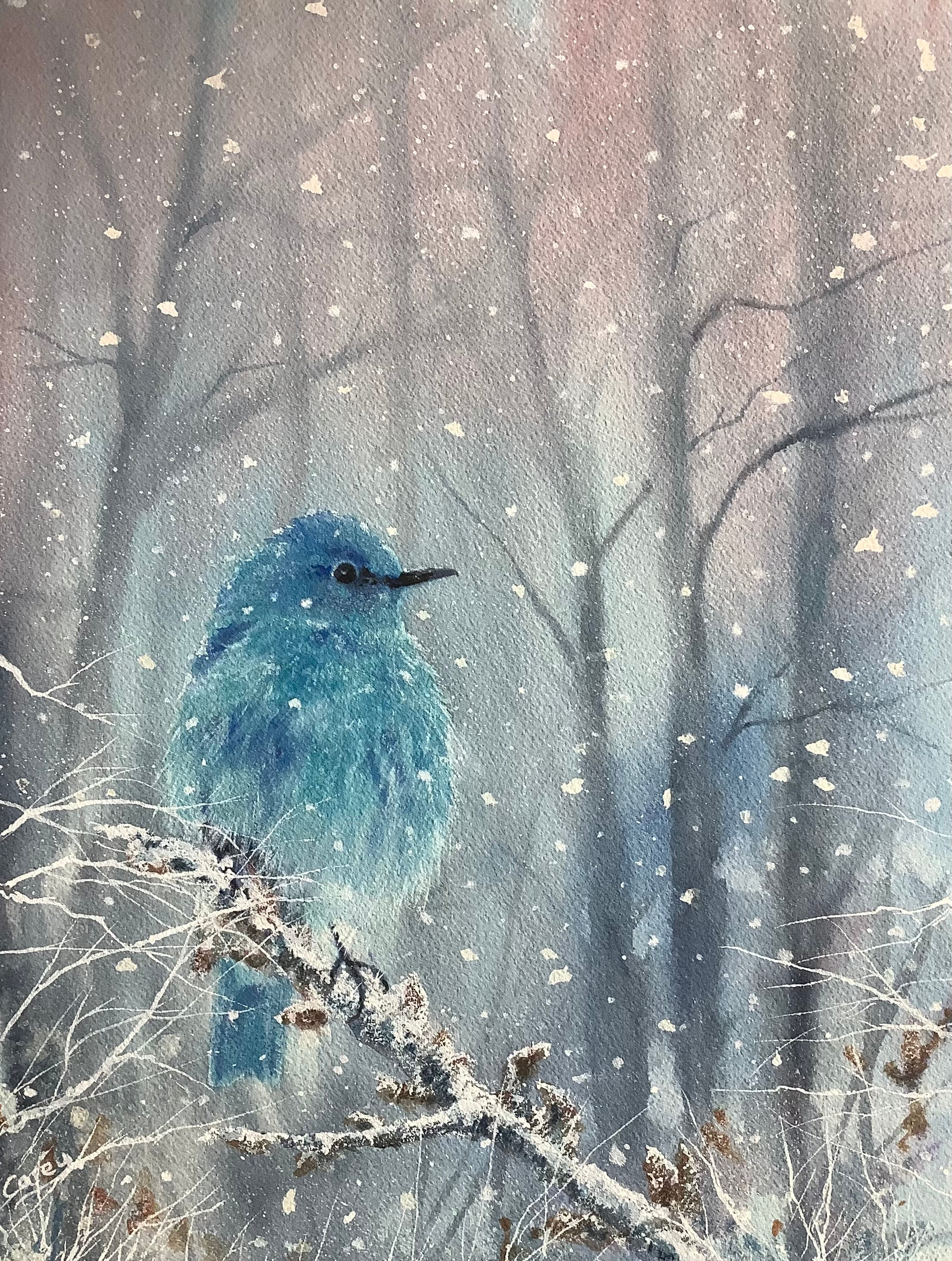 Mountain Bluebird