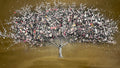Cherry Blossom