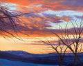 Fiery Winter Skies