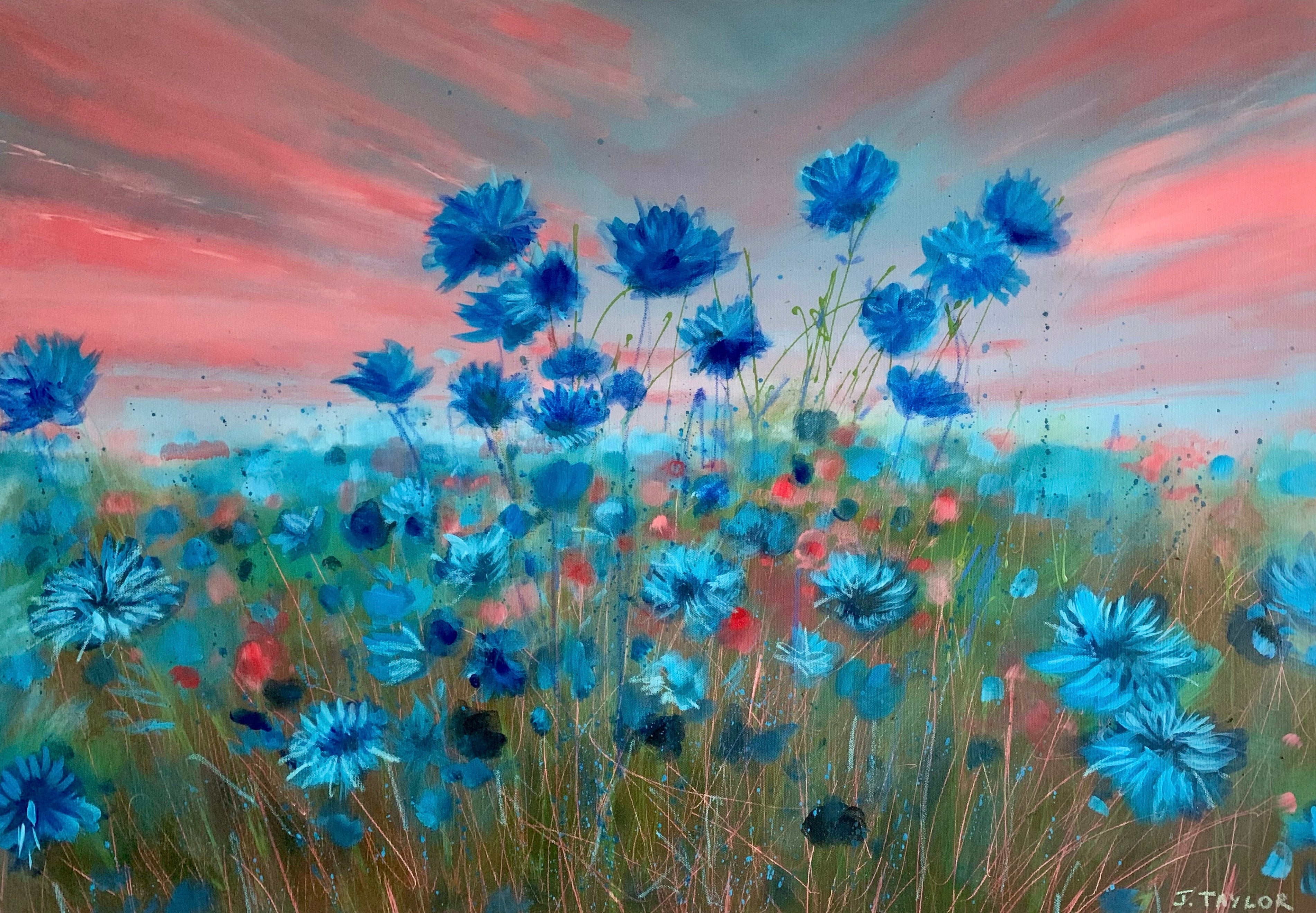 Sunset Song, Cornflowers