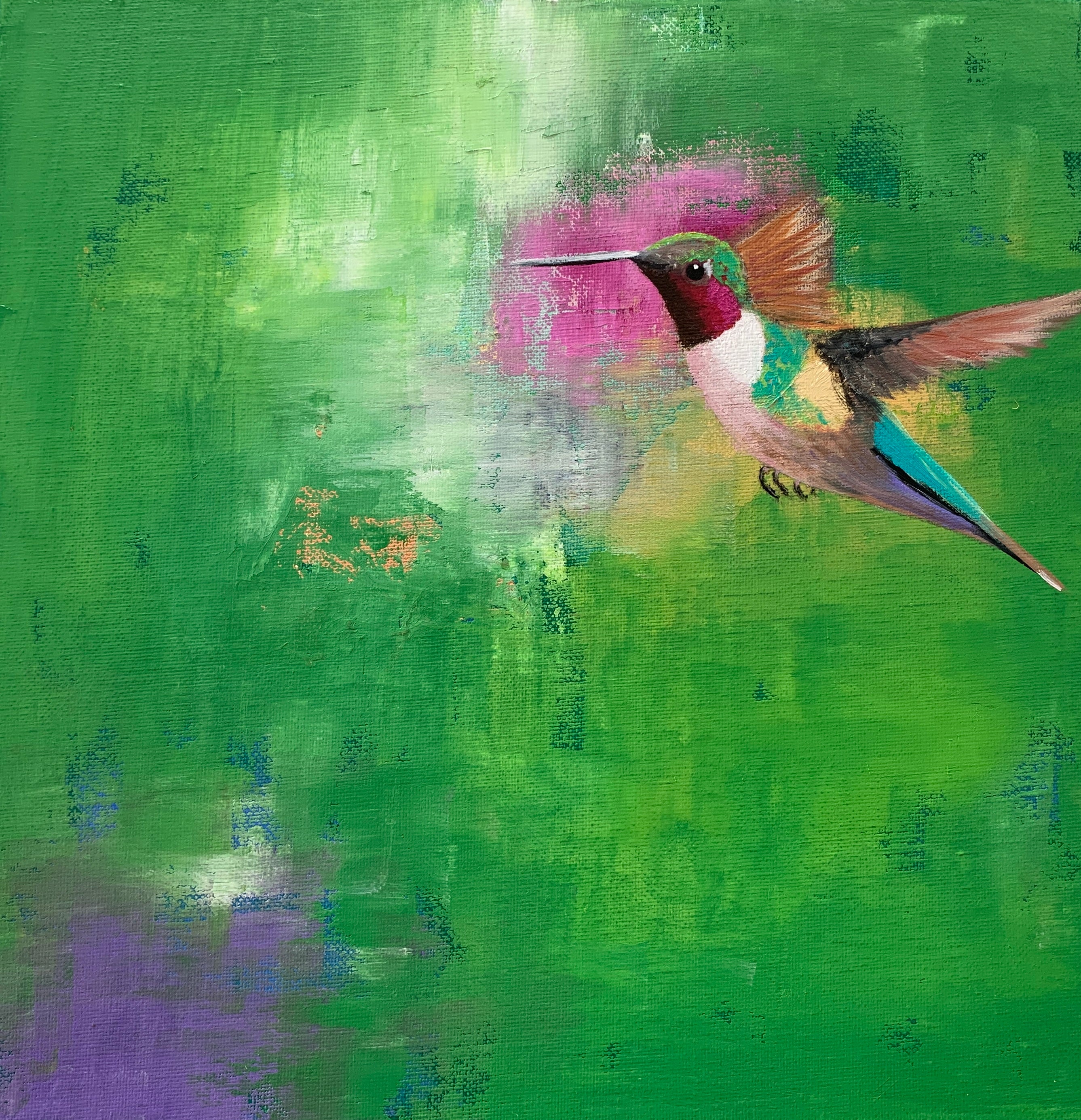 Summer's hummingbird