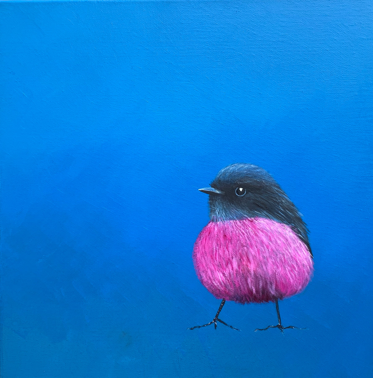 Pink Robin