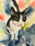 Who, me?