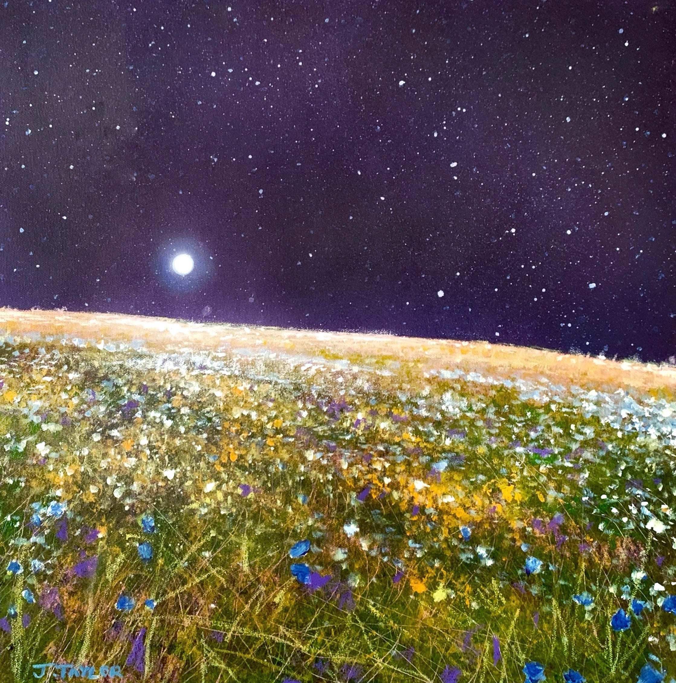 Midnight Fields Of Gold