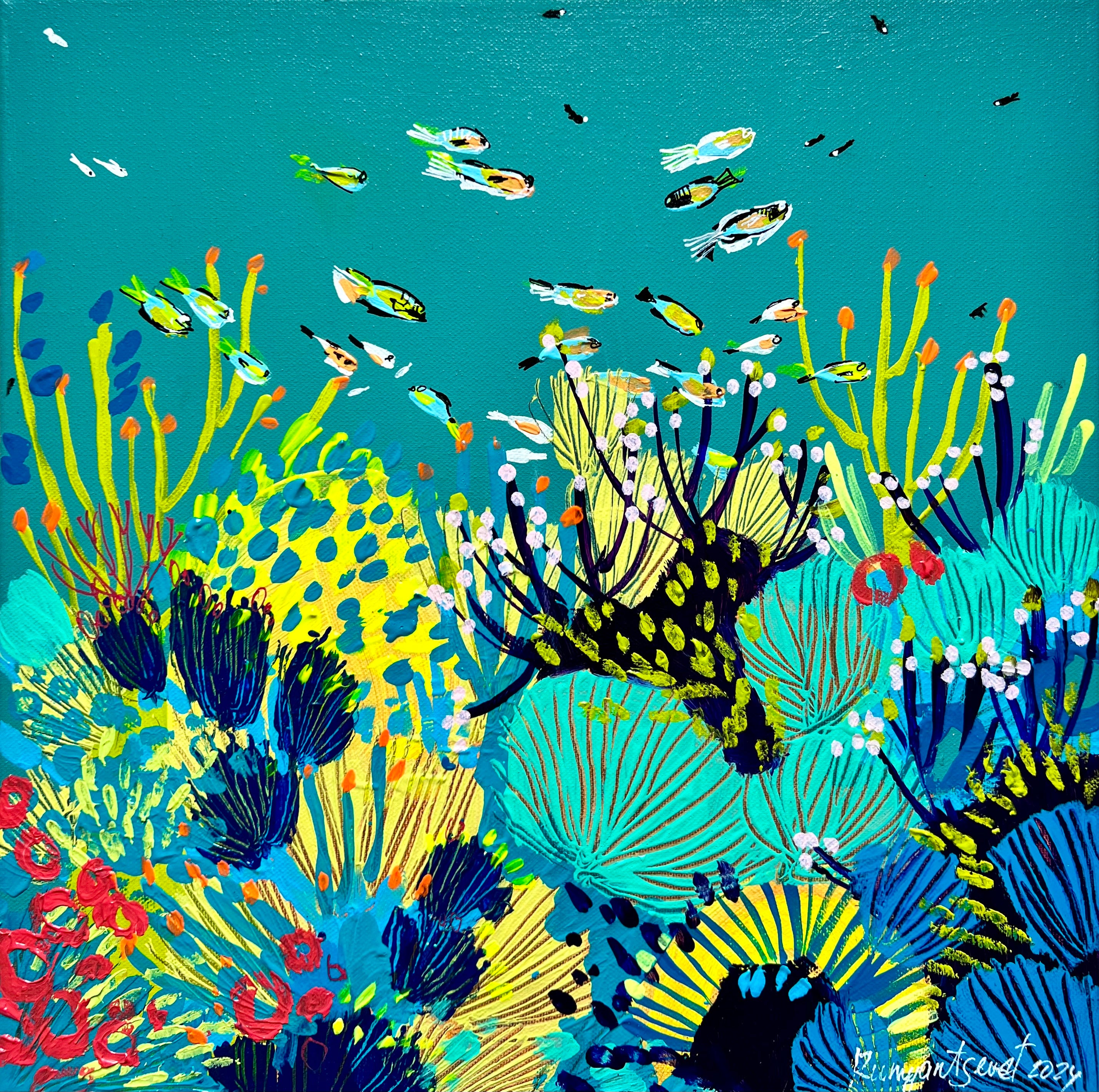 Underwater Life8