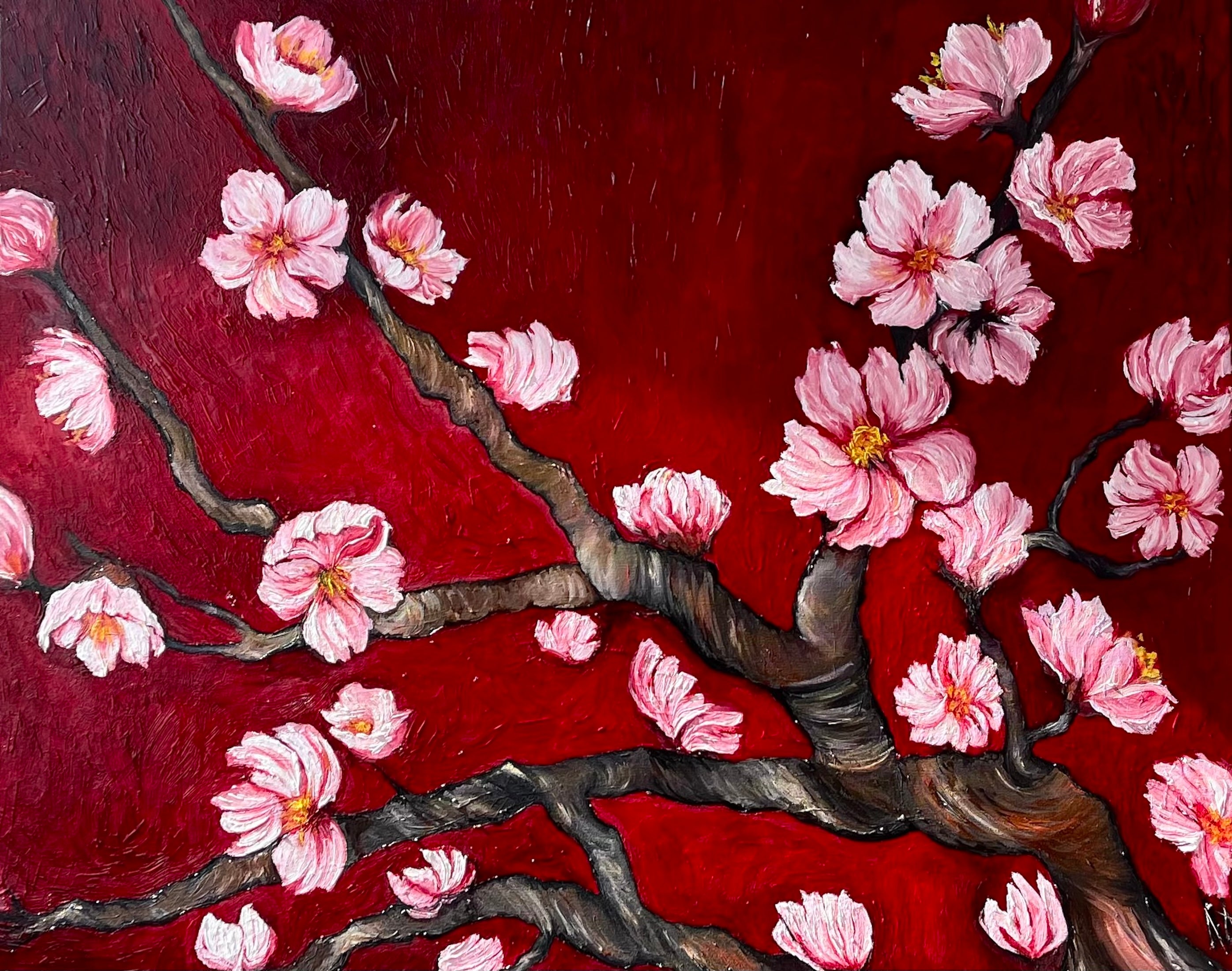 Blooming Cherry Branches