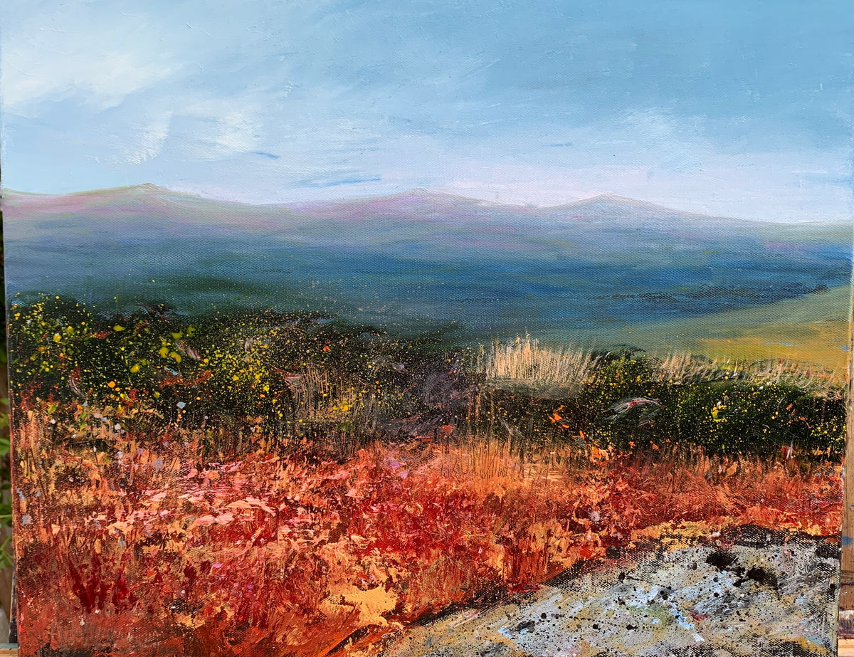 At Merrivale on Dartmoor
