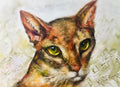 Abyssinean cat painting
