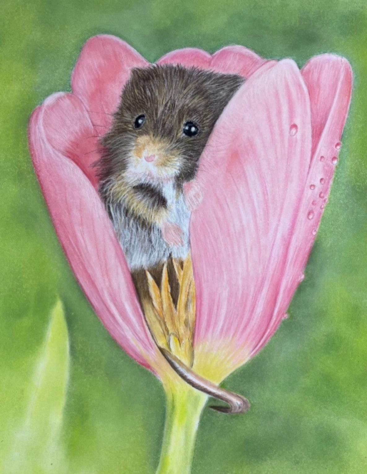 Mouse hiding in tulip
