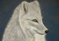 White wolf