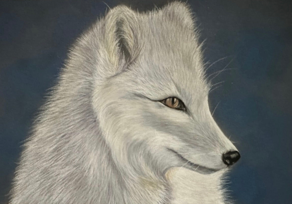 White wolf