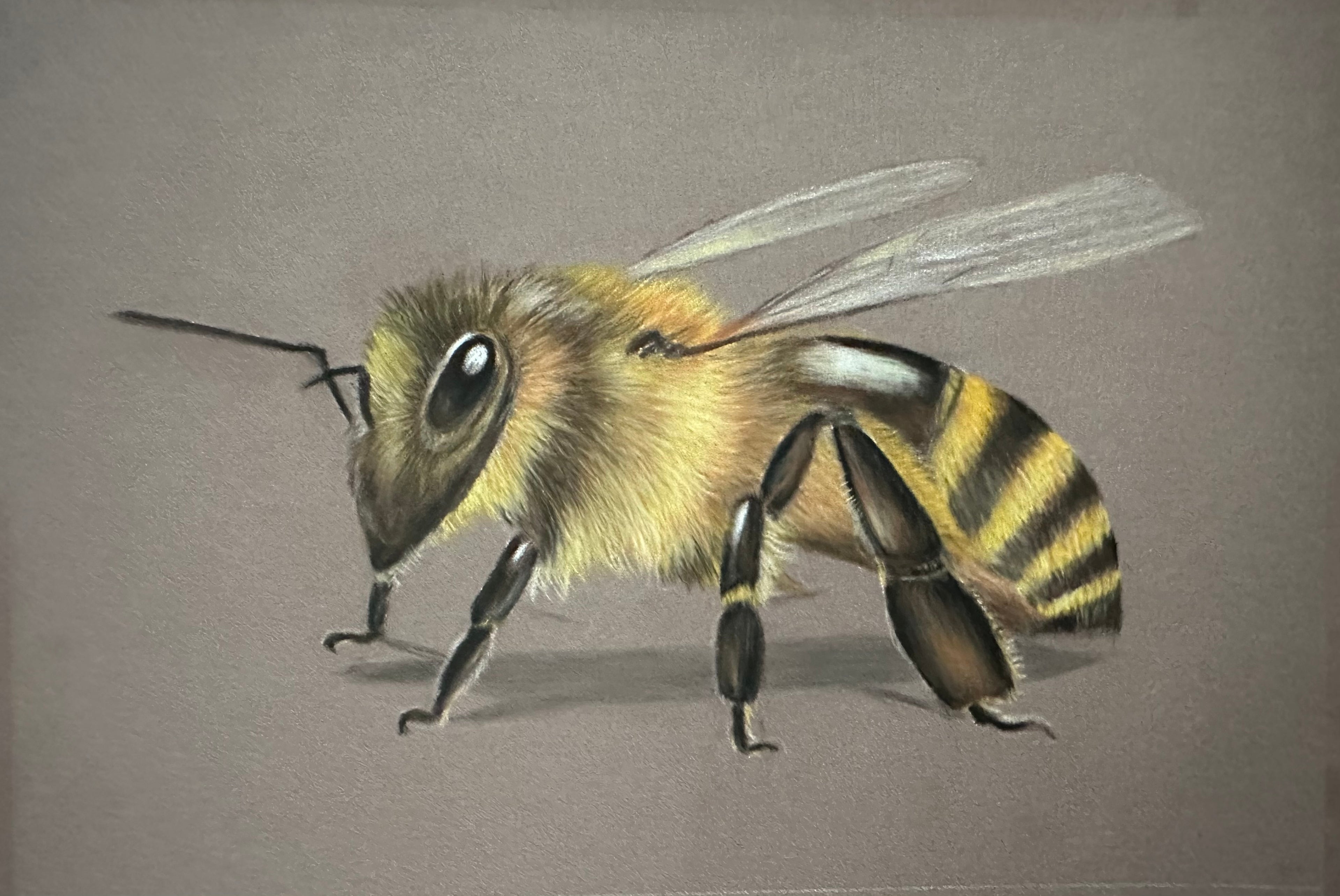 Bee