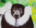 Lemur ballpoint pen drawing