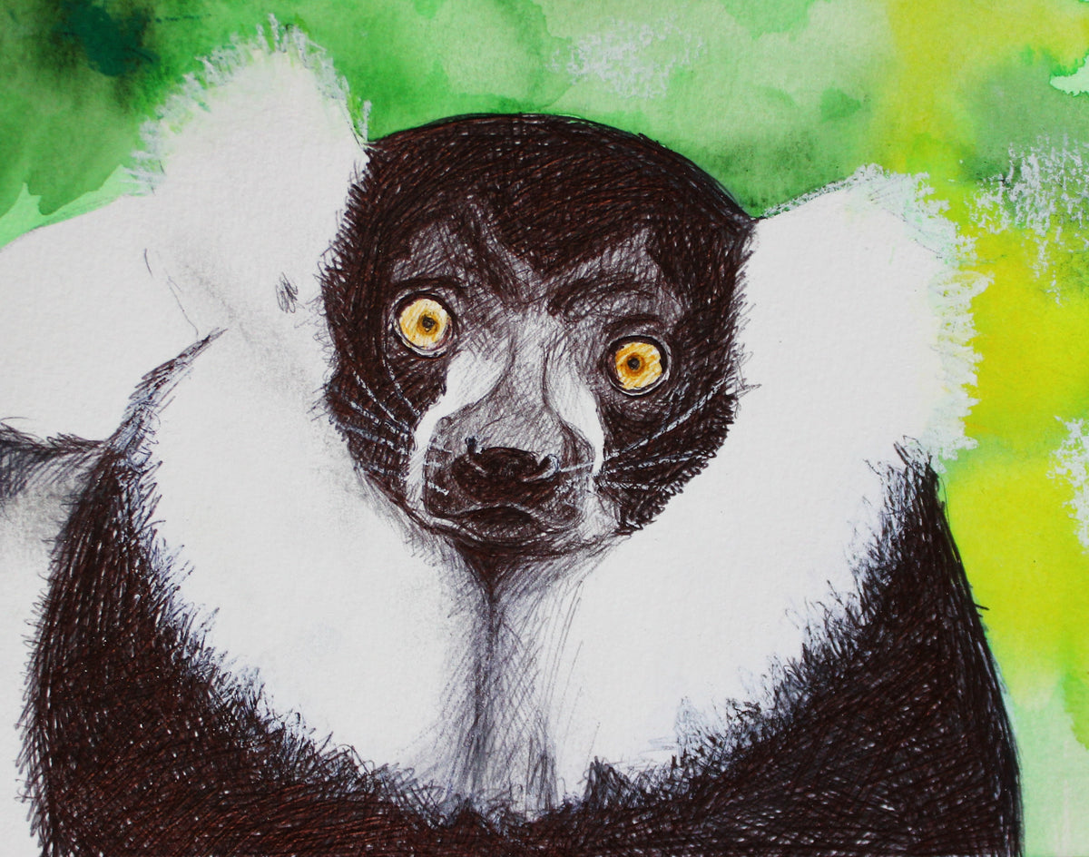 Lemur ballpoint pen drawing